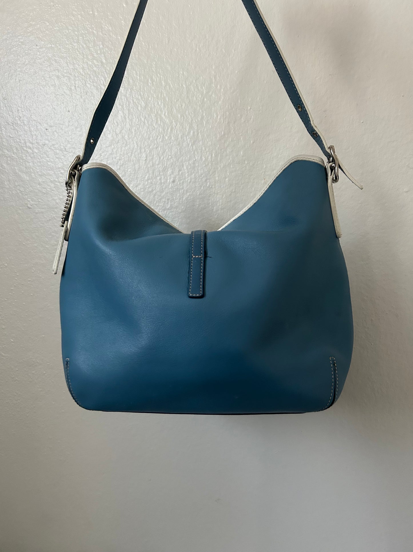 RARE Blue Hampton Clip Bag