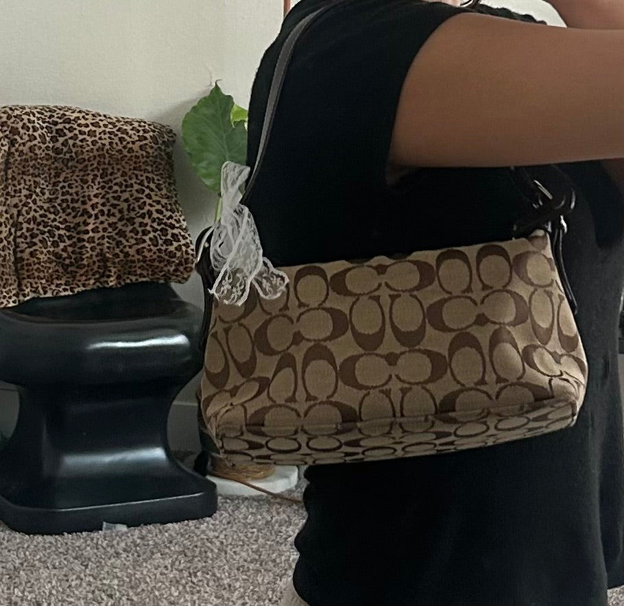 Coach Signature Mini Demi Bag