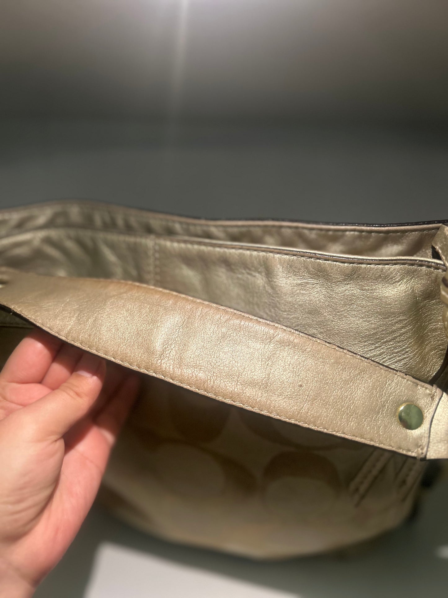 Coach Zoe Shoulder Bag