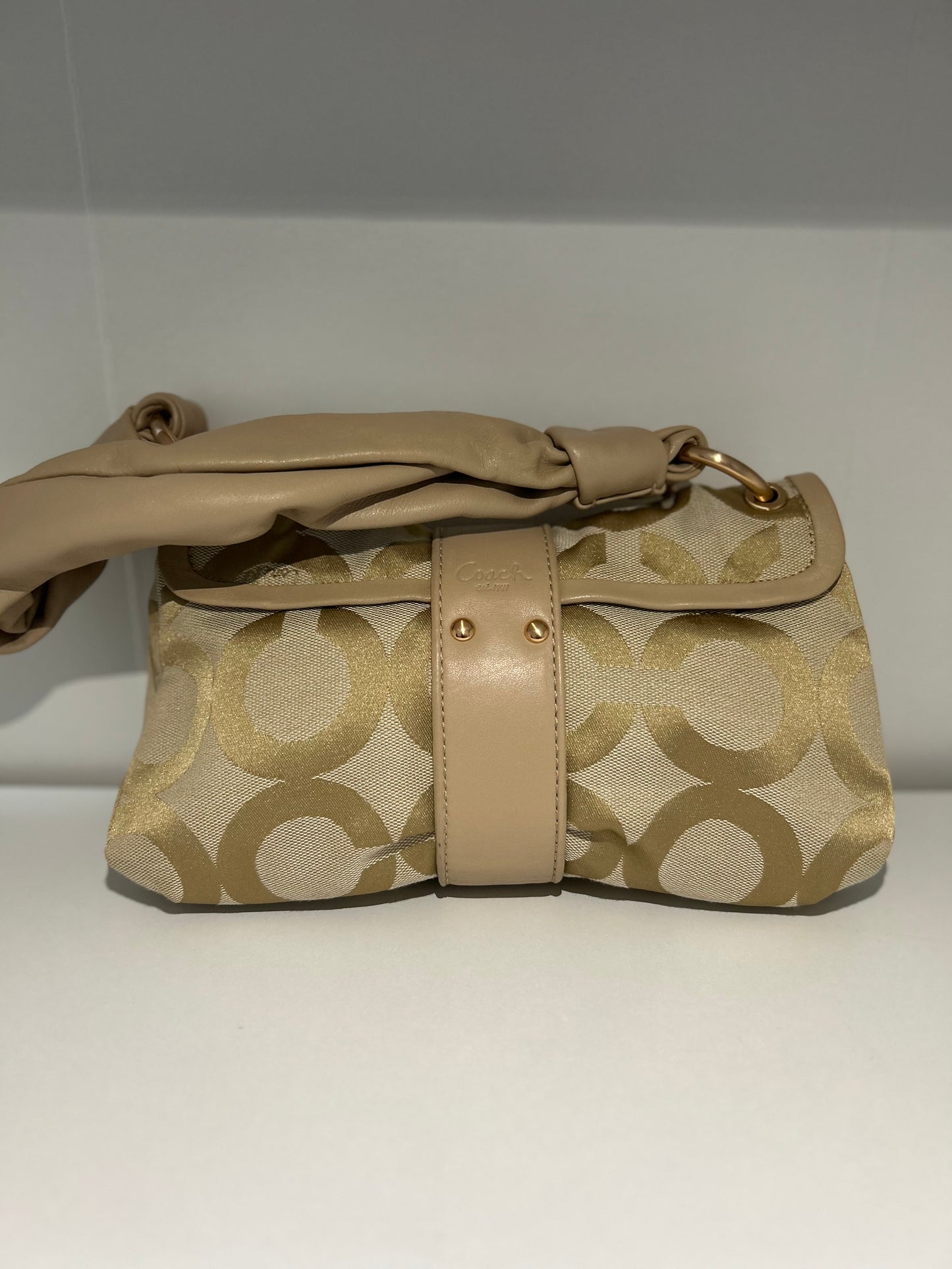 Coach Parker Bow Purse