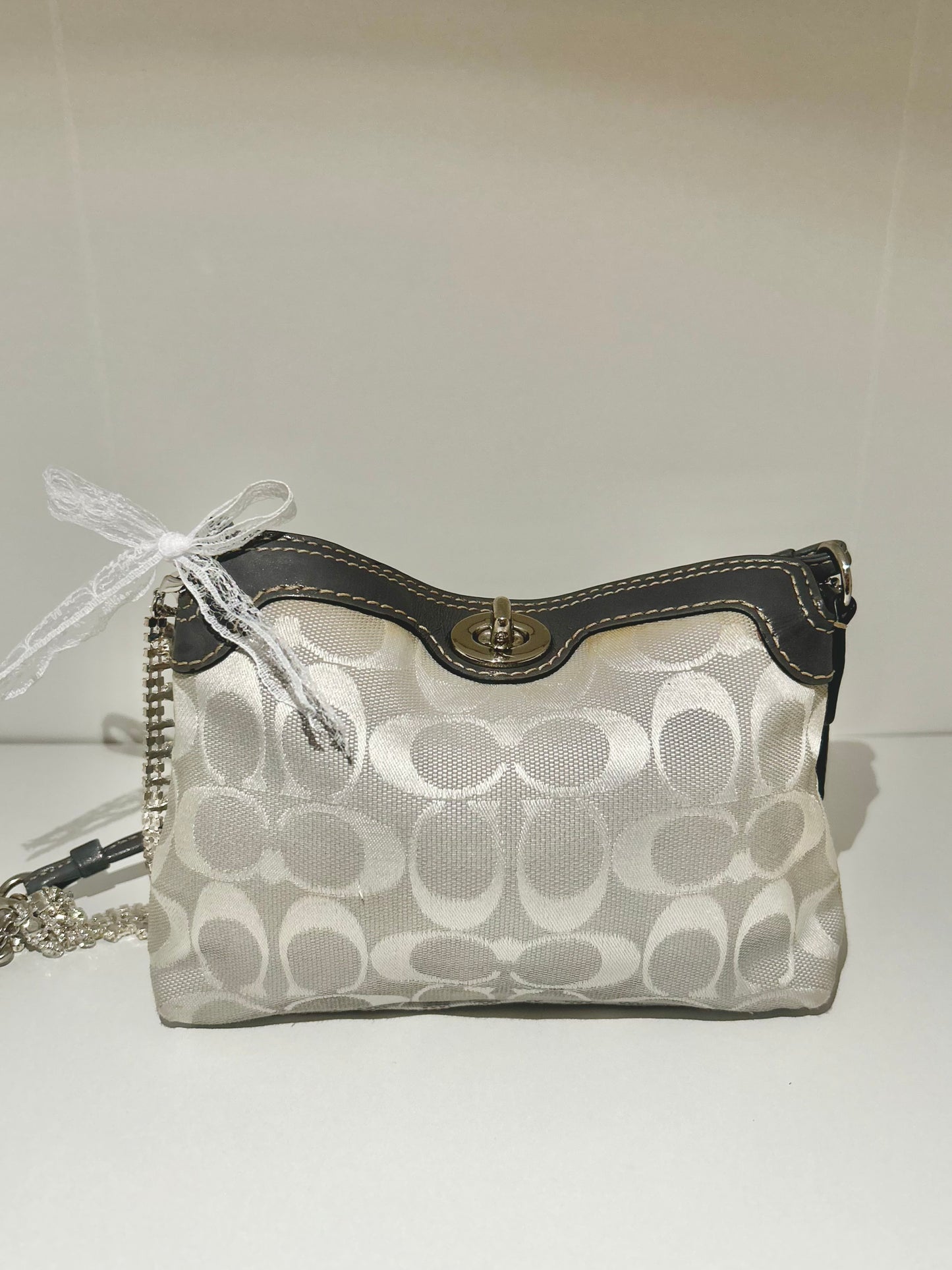 Mini Turnlock Wrislet/Shoulderbag