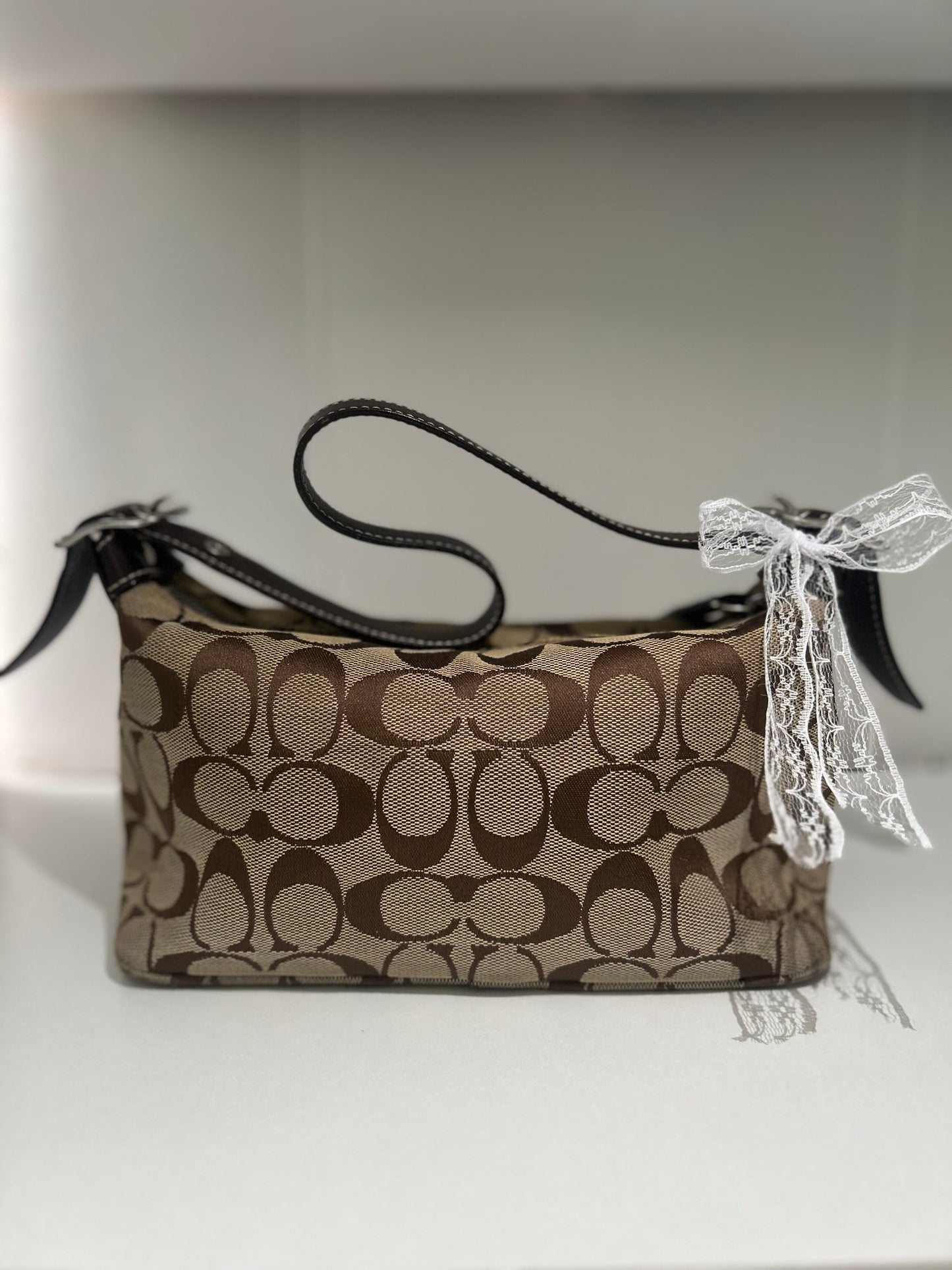 Coach Signature Mini Demi Bag