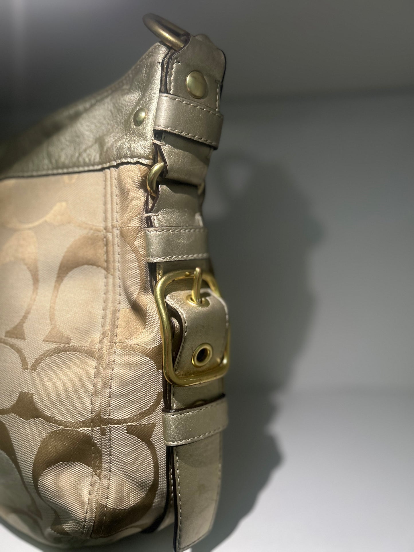 Coach Zoe Shoulder Bag