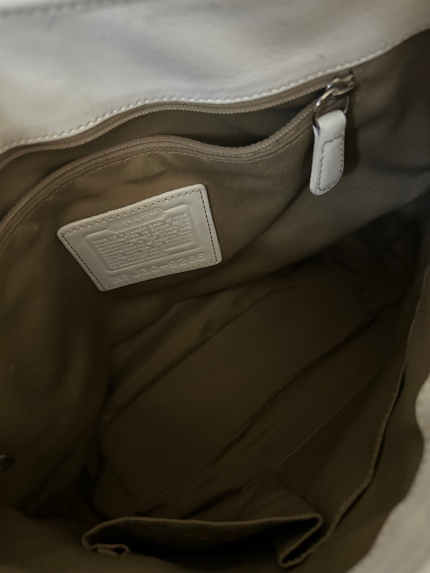 RARE Blue Hampton Clip Bag