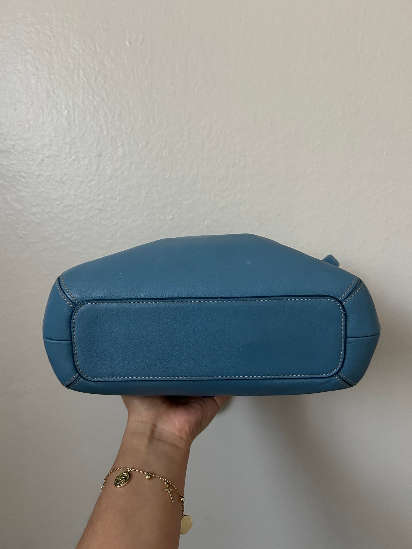 RARE Blue Hampton Clip Bag