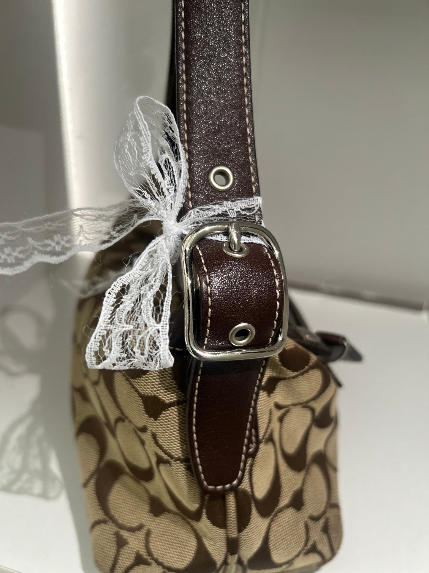 Coach Signature Mini Demi Bag