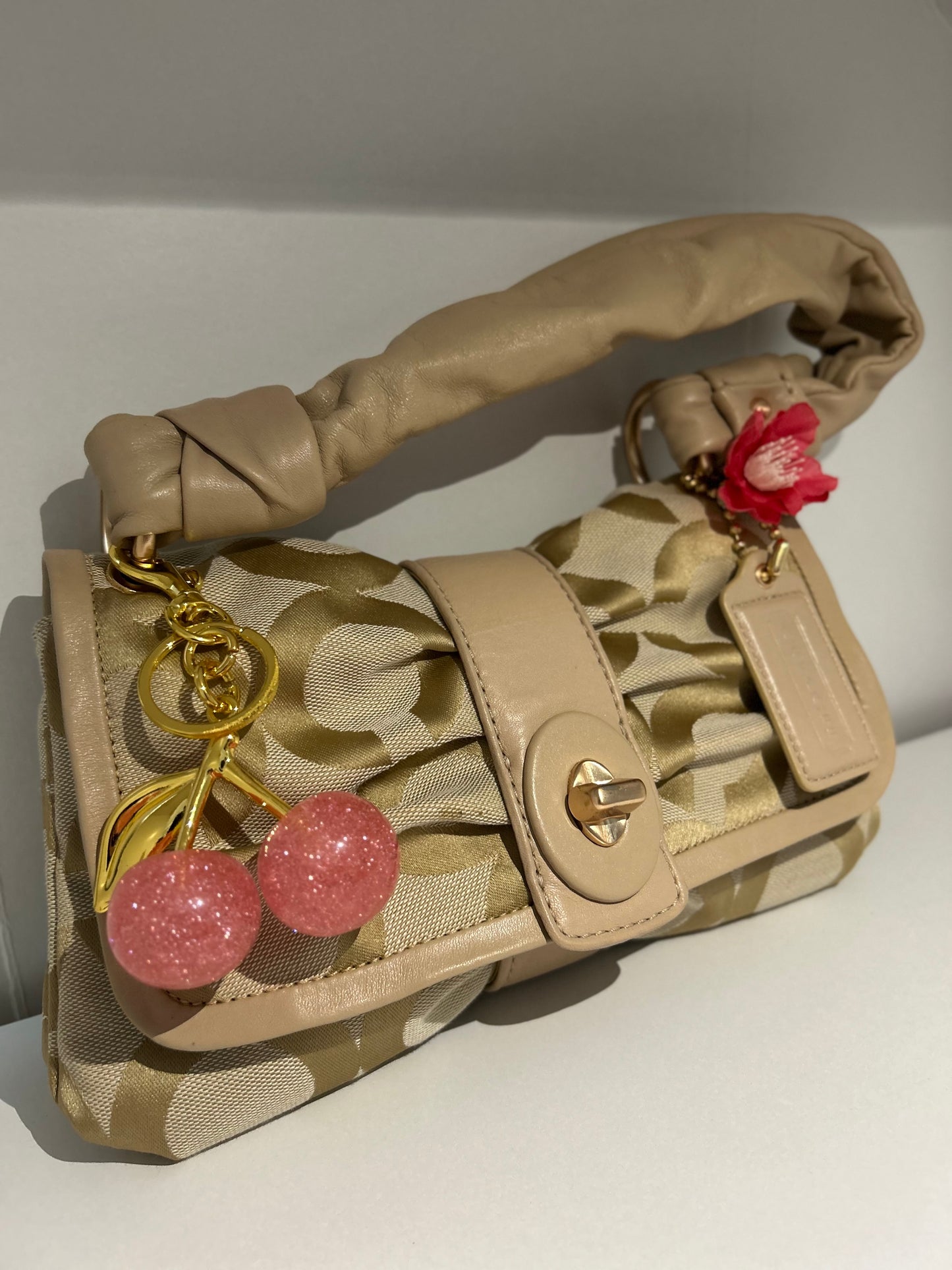 Coach Parker Bow Purse