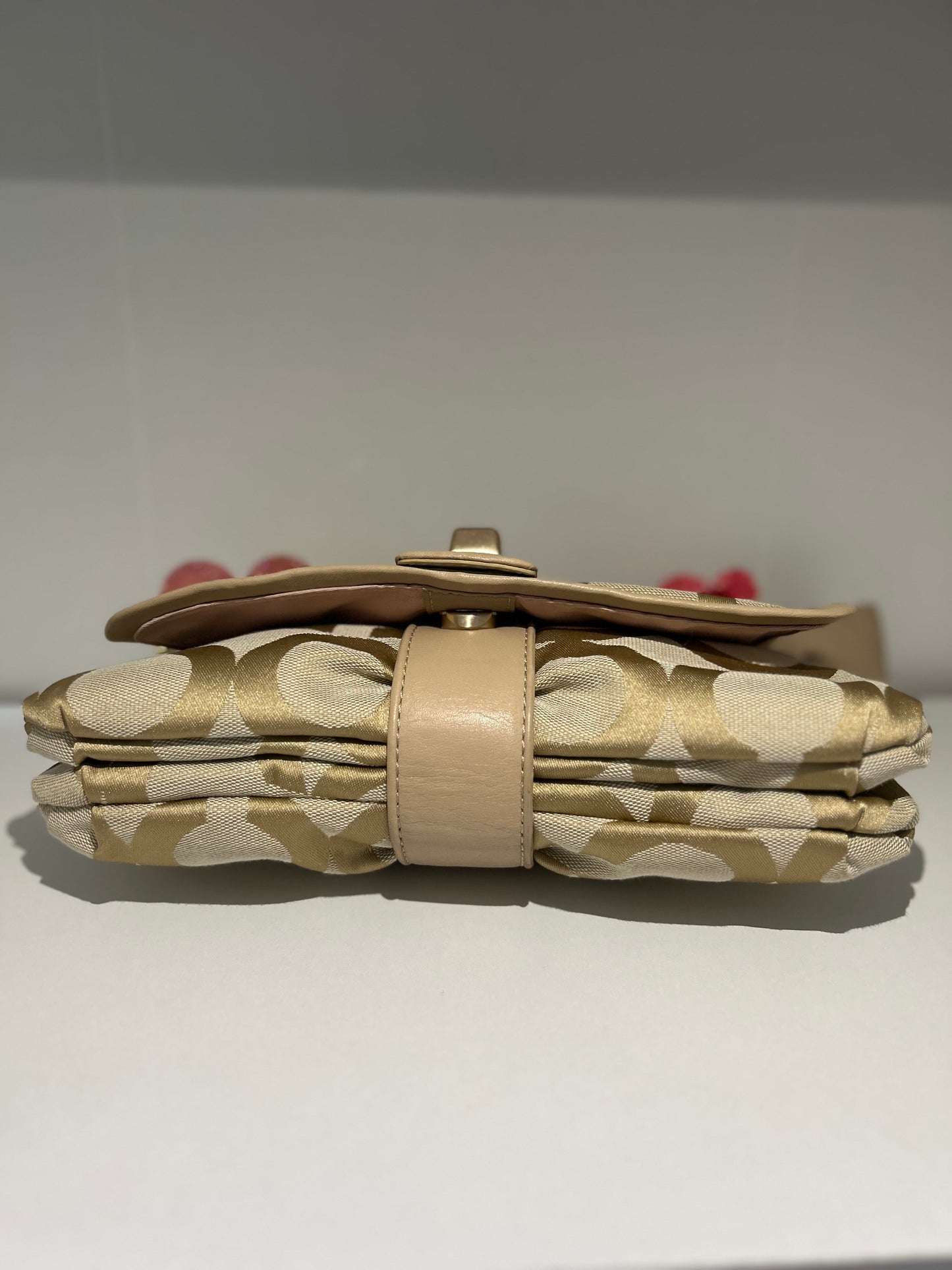 Coach Parker Bow Purse