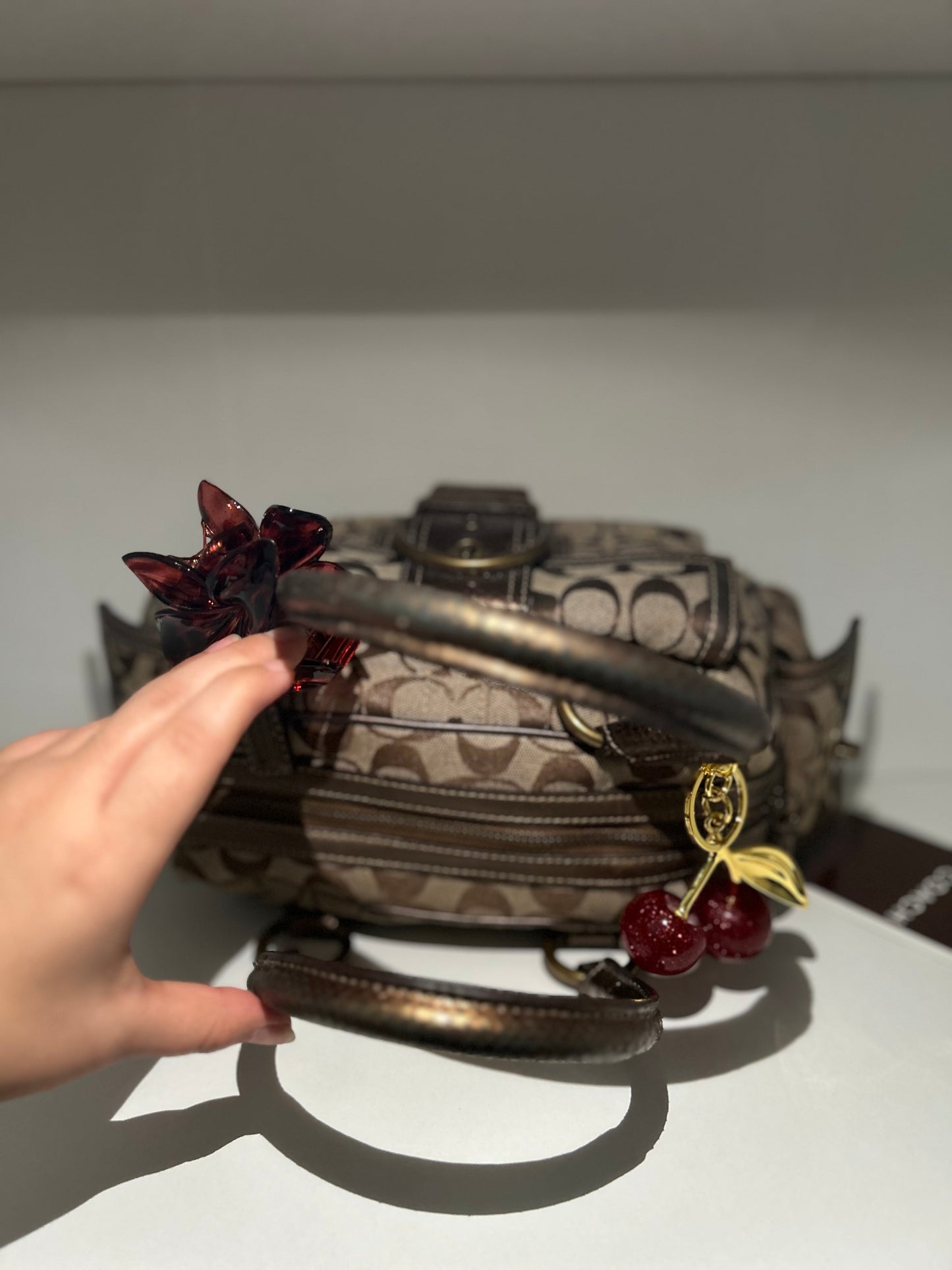 RARE Small Snake Coach Satchel