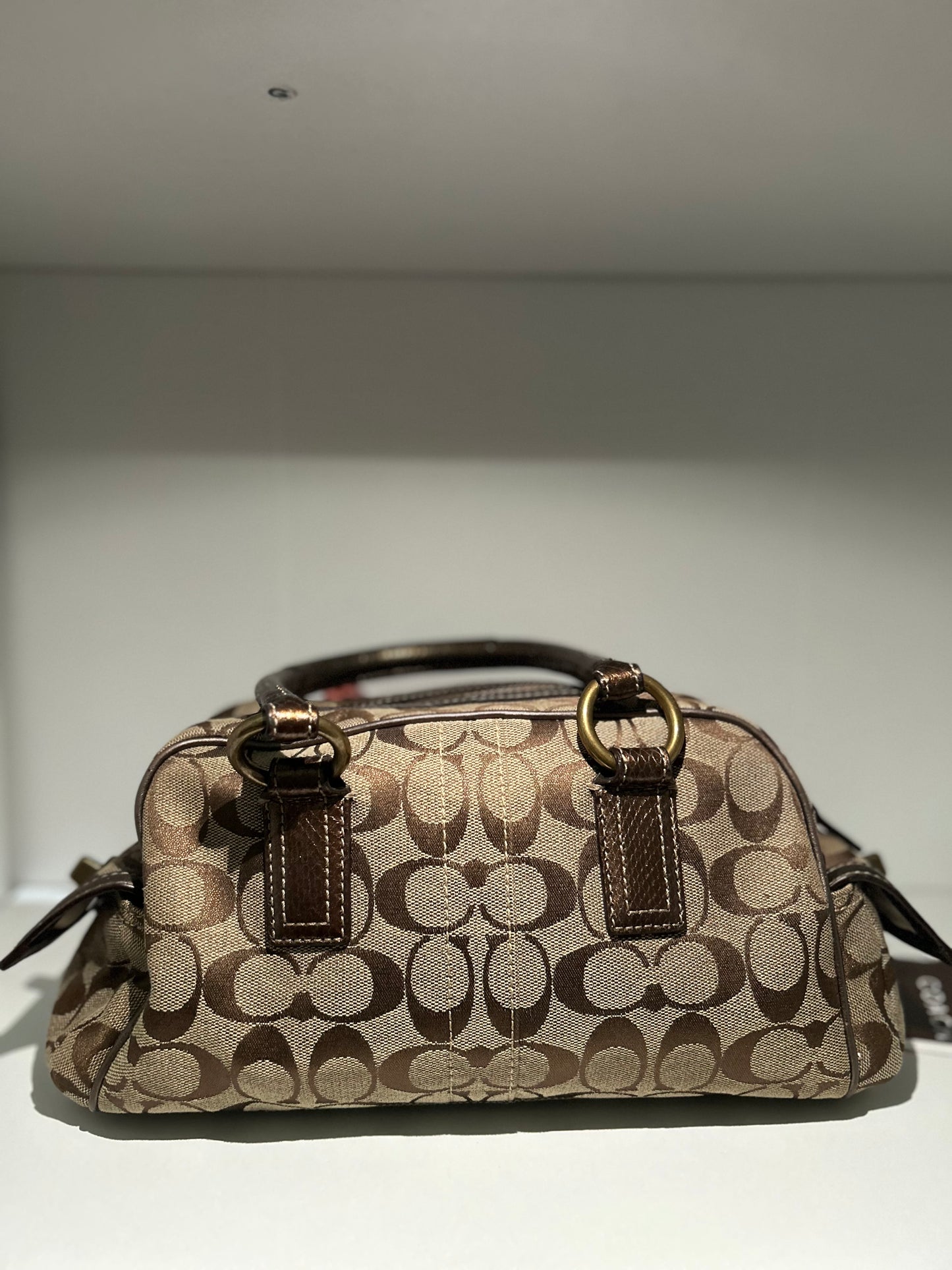 RARE Small Snake Coach Satchel