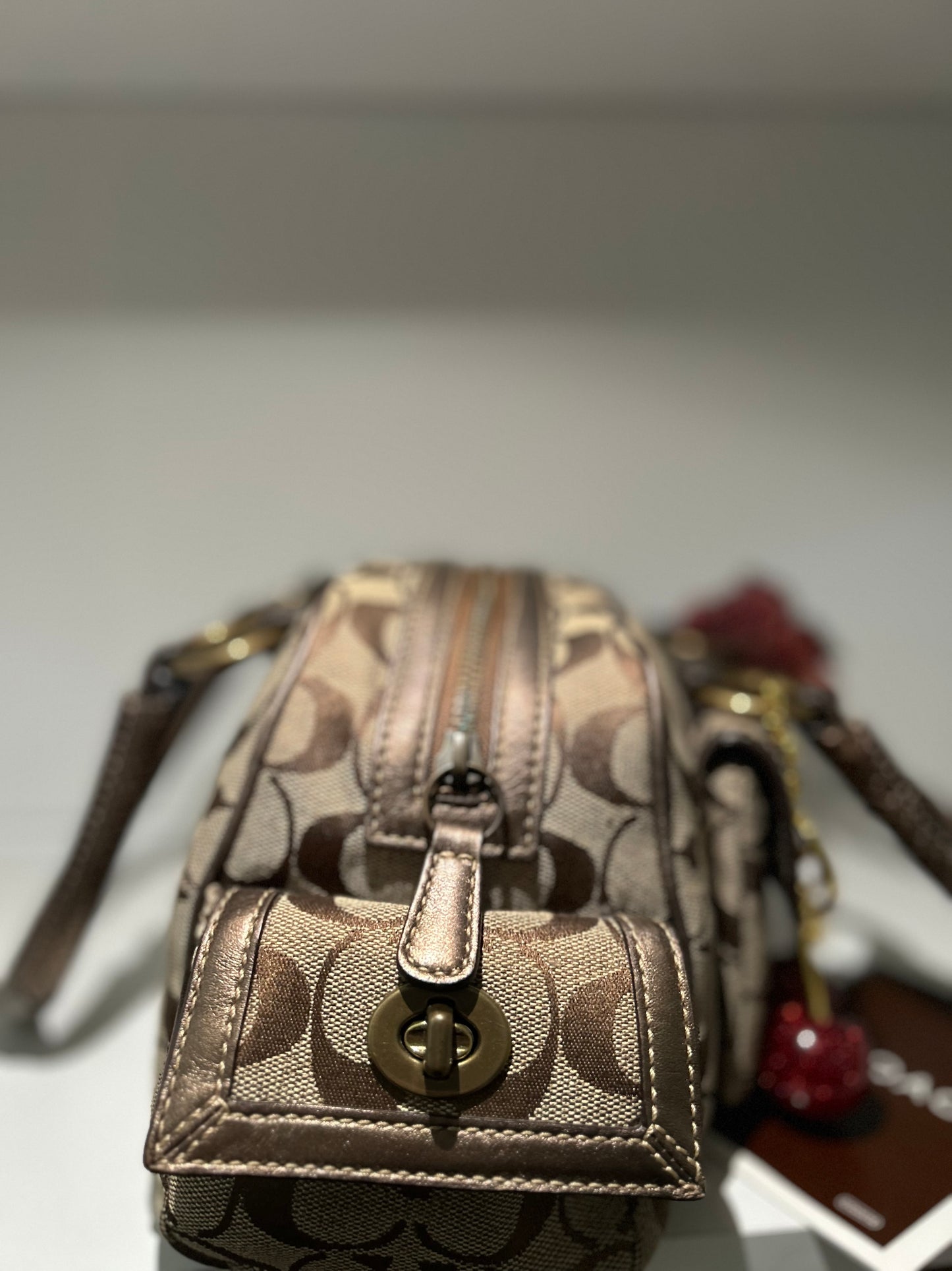 RARE Small Snake Coach Satchel