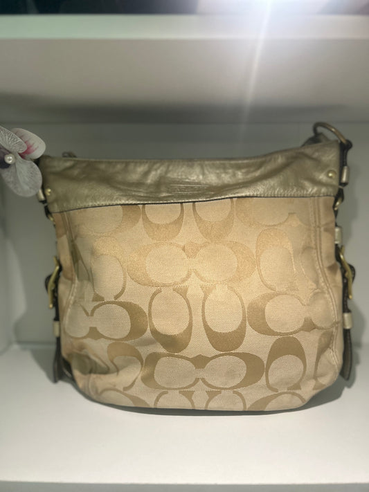 Coach Zoe Shoulder Bag