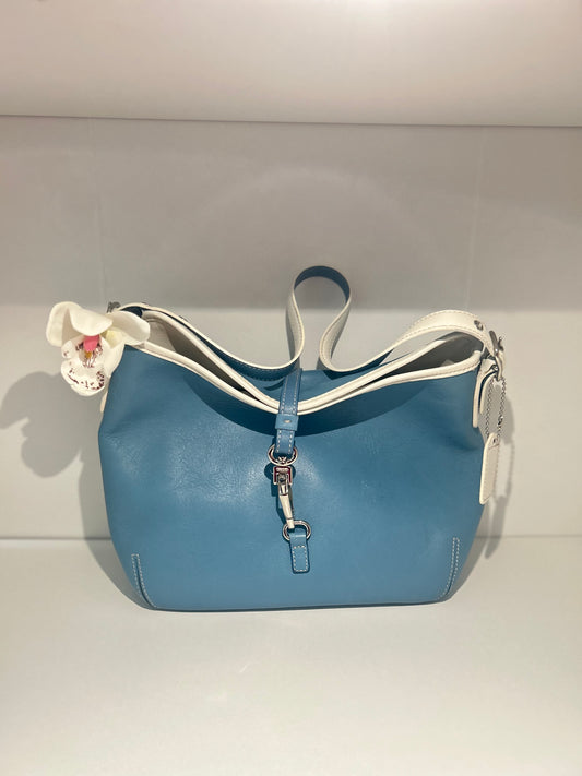 RARE Blue Hampton Clip Bag