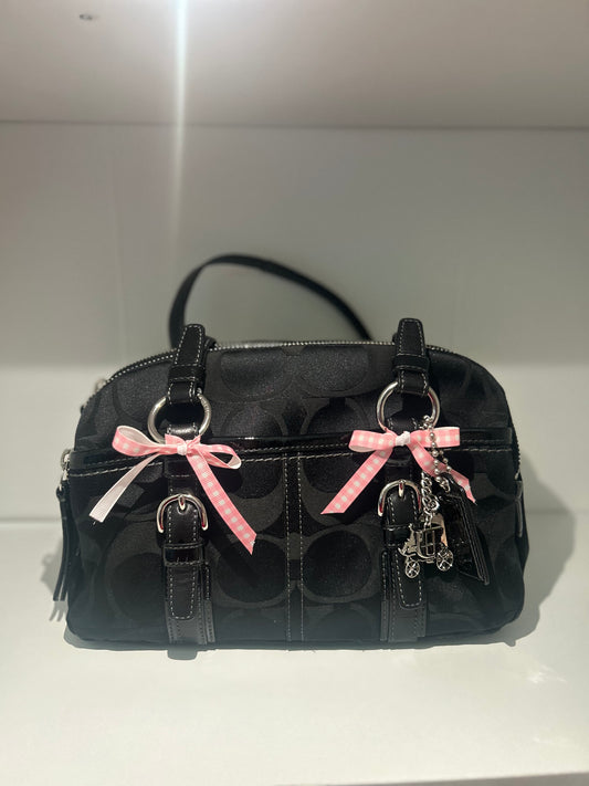 VERY RARE FIND Mini Y2K Coach Satchel