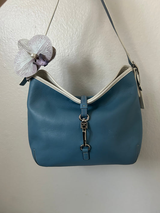 RARE Blue Hampton Clip Bag